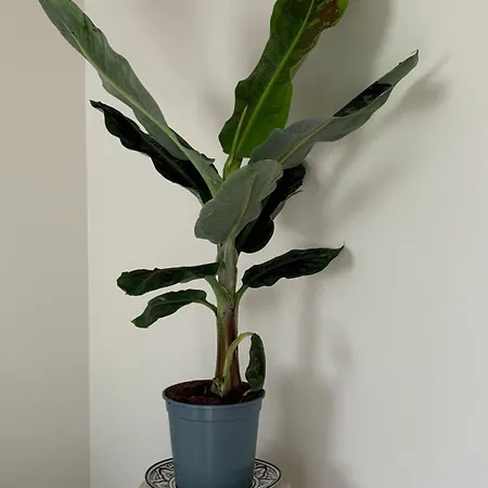 Casa Harmonia - Modern & Cozy