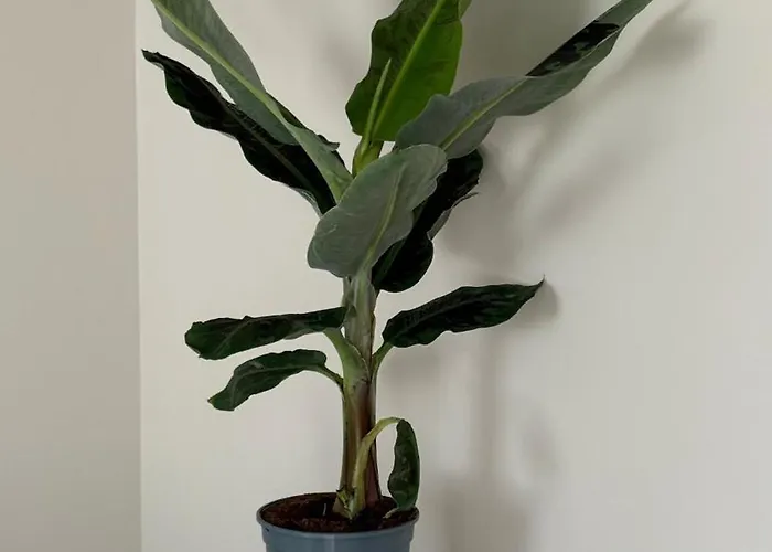 Casa Harmonia - Modern & Cozy